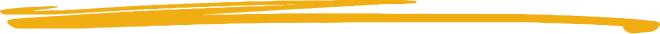 Animation and VFX Course